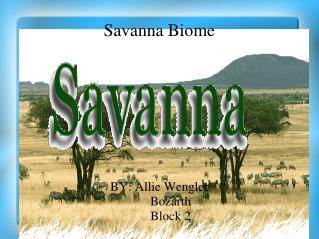 Savanna Biome