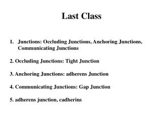Last Class Junctions: Occluding Junctions, Anchoring Junctions, Communicating Junctions