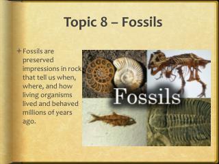 Topic 8 – Fossils
