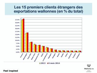 Les 15 premiers clients étrangers des exportations wallonnes (en % du total)