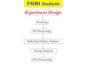 Group Analysis