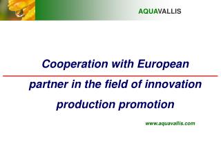 Cooperation with European partner in the field of innovation production promotion