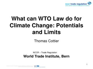 What can WTO Law do for Climate Change: Potentials and Limits
