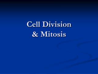 Cell Division &amp; Mitosis