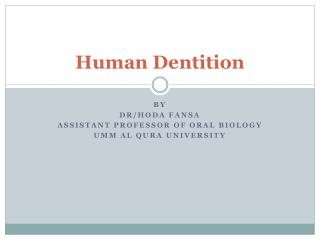 Human Dentition