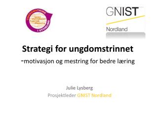 Strategi for ungdomstrinnet - motivasjon og mestring for bedre læring