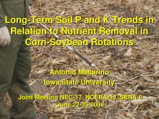 Long-Term Soil P and K Trends in Relation to Nutrient Removal in Corn-Soybean Rotations