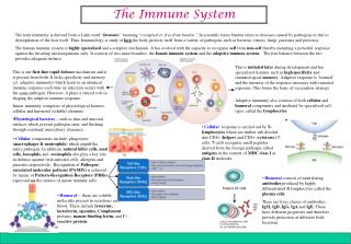 The Immune System