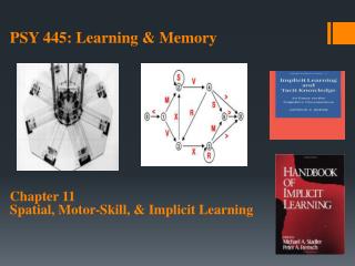 Chapter 11 Spatial, Motor-Skill, &amp; Implicit Learning