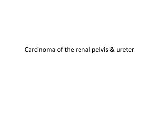 Carcinoma of the renal pelvis &amp; ureter
