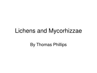Lichens and Mycorhizzae