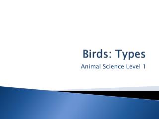 Birds: Types