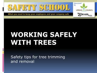 Working safely with trees