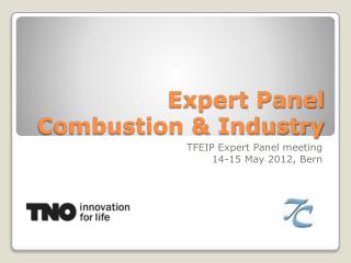 Expert Panel Combustion &amp; Industry