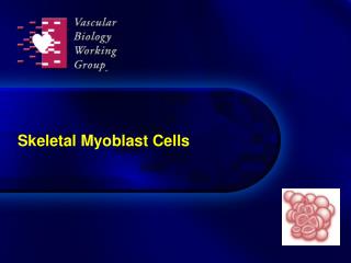 Skeletal Myoblast Cells