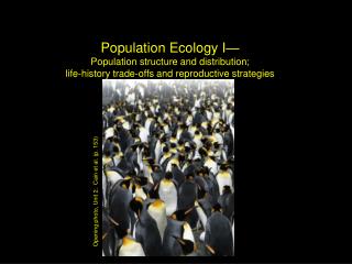 Population Ecology I— Population structure and distribution;