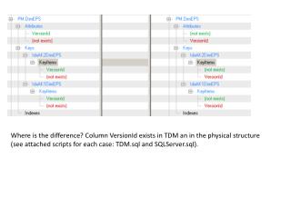 Where is the difference? Column VersionId exists in TDM an in the physical structure
