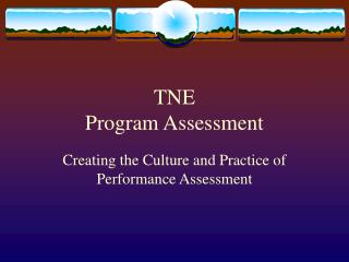 TNE Program Assessment