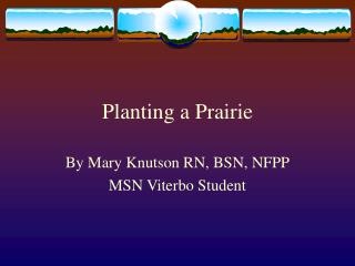 Planting a Prairie