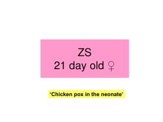 ZS 21 day old ♀