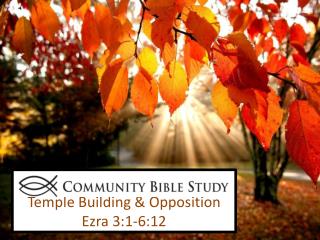 Temple Building &amp; Opposition Ezra 3:1-6:12