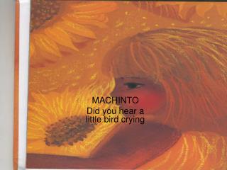 MACHINTO Did you hear a little bird crying