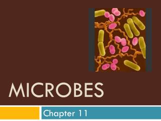 Microbes