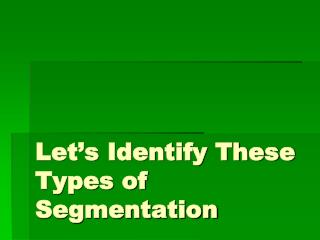 Let’s Identify These Types of Segmentation