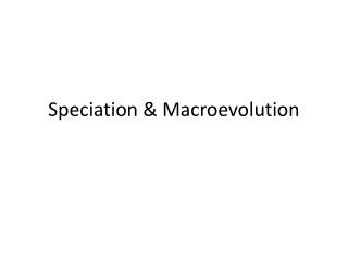 Speciation &amp; Macroevolution