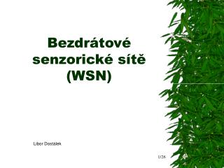 Bezdrátové senzorické sítě (WSN)