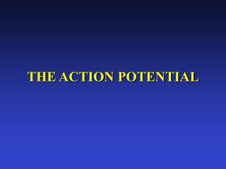 THE ACTION POTENTIAL