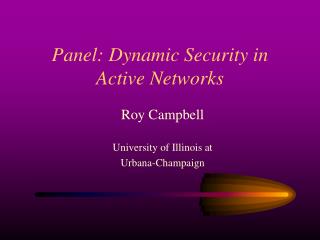 Panel: Dynamic Security in Active Networks