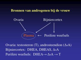 Bronnen van androgenen bij de vrouw