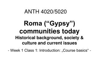 Roma (“Gypsy”) communities today Historical background, society &amp; culture and current issues