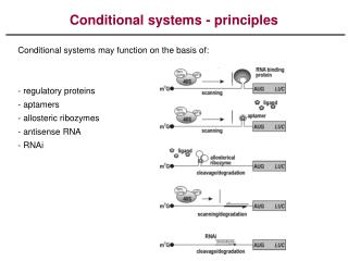 Conditional systems - principles