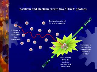 Their mass is converted to energy using Einstein’s E=Mc 2