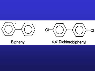 PCBs --Polychlorinated biphenyl (a pair of benzene rings joined by a single carbon-to-carbon bone.