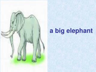 a big elephant