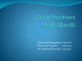 Gram Positives Rods/Bacilli