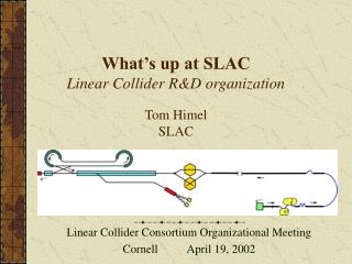 What’s up at SLAC Linear Collider R&amp;D organization Tom Himel SLAC