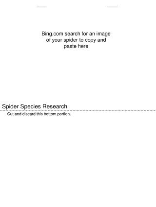 Spider Species Research