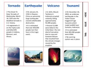 In 1815, Mount Tambora in Indonesia erupted violently, killing approximately 92,000 people.