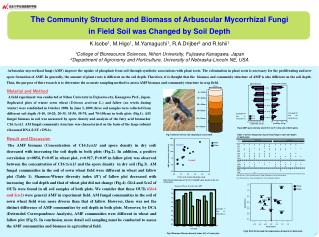 The Community Structure and Biomass of Arbuscular Mycorrhizal Fungi