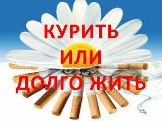 КУРИТЬ ИЛИ ДОЛГО ЖИТЬ