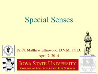 Special Senses
