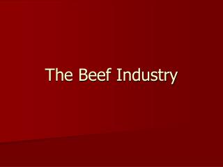 The Beef Industry