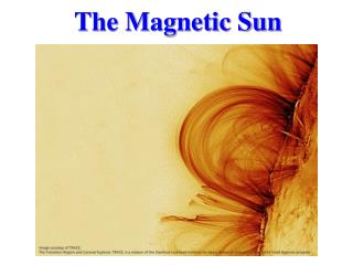 The Magnetic Sun