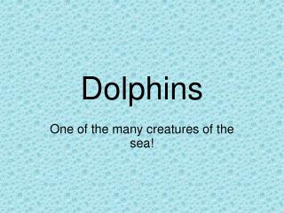 Dolphins