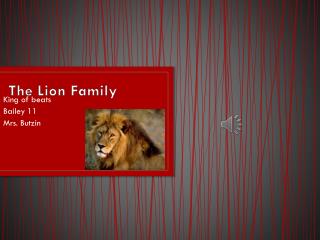 The Lion Family