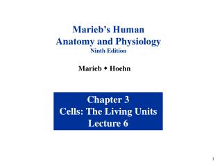 Marieb’s Human Anatomy and Physiology Ninth Edition